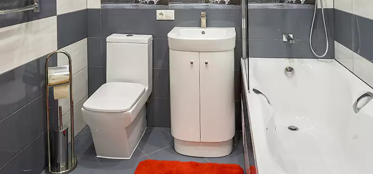 Hansgrohe Shaving Mirror Monsey